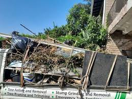 Best Hoarding Cleanup  in Norwich, CT